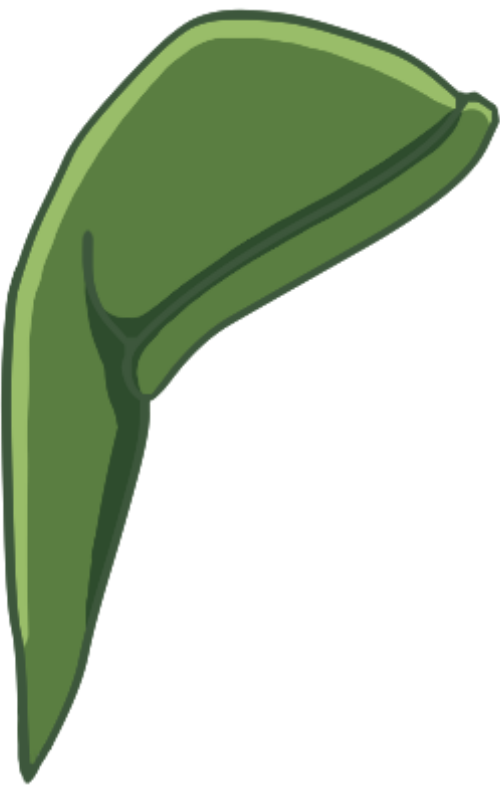 "Can't Believe It's Not Link's Hat" Hat